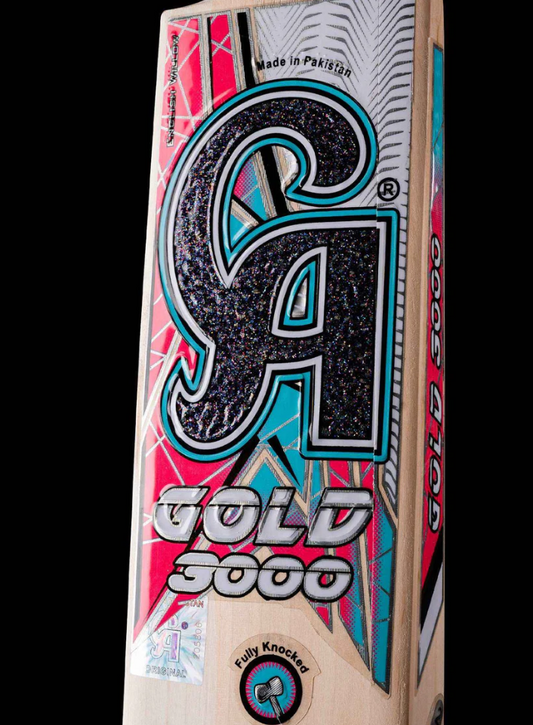 CA Pro/Gold 3000 Bat
